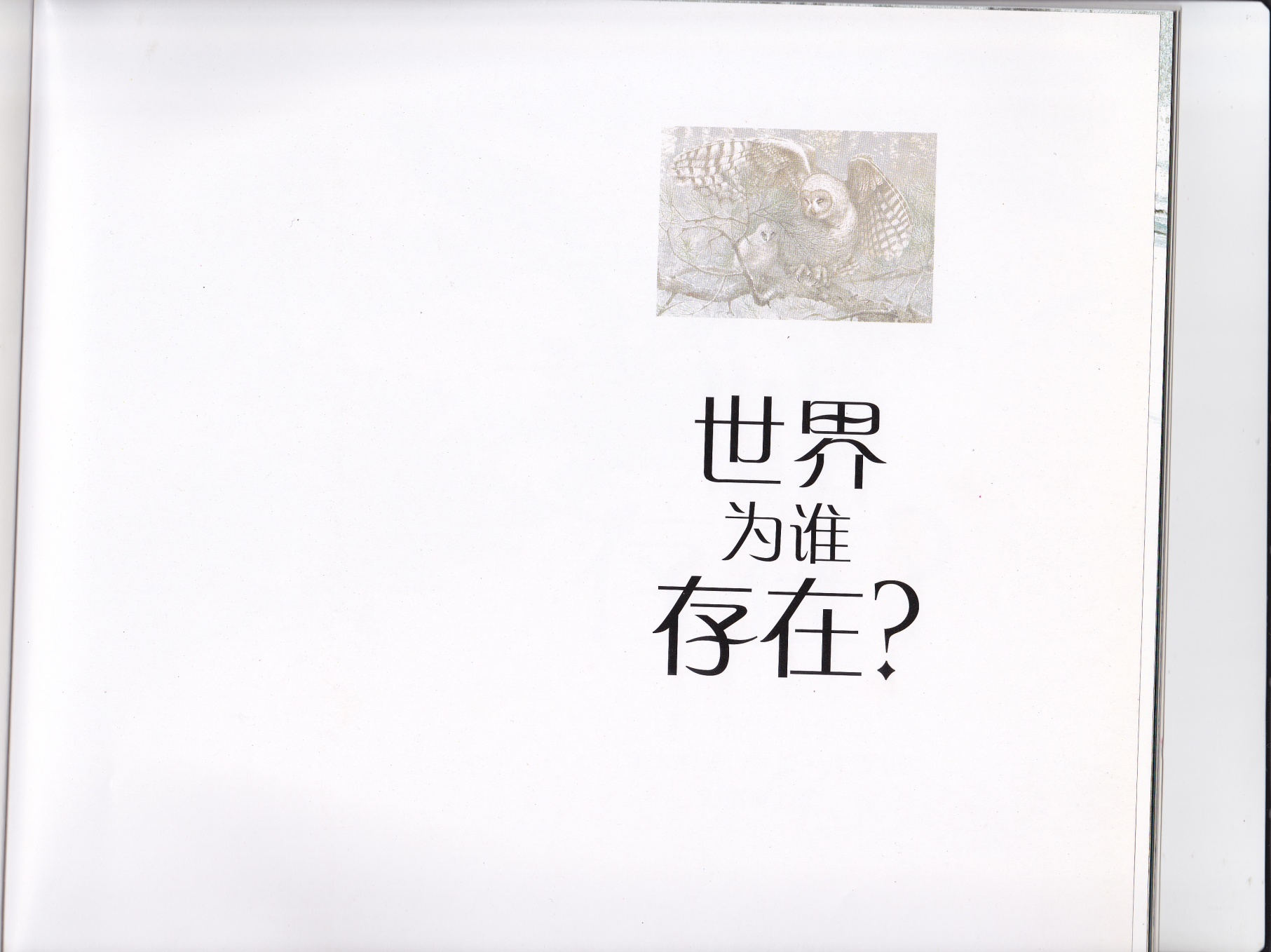 世界为谁存在 (02),绘本,绘本故事,绘本阅读,故事书,童书,图画书,课外阅读